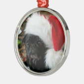 Pug Ornament (Links)