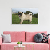 Pug Panting Canvas Afdruk (Insitu (Woonkamer))