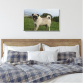 Pug Panting Canvas Afdruk (Insitu (Slaapkamer))