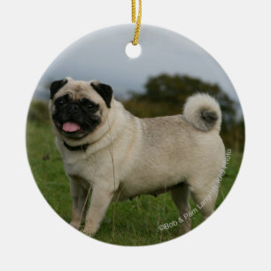 Pug Panting Keramisch Ornament