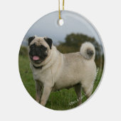 Pug Panting Keramisch Ornament (Links)