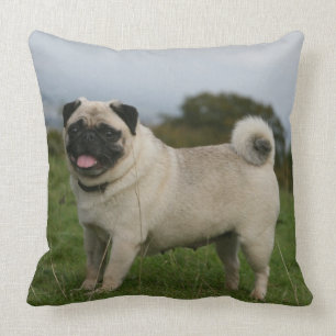Pug Panting Kussen