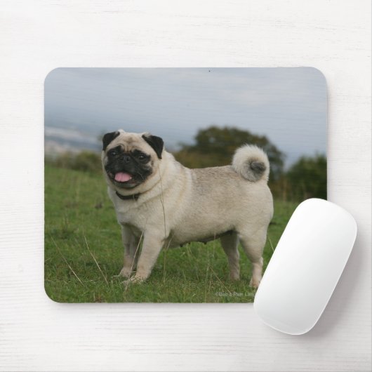 Pug Panting Muismat (Met muis)