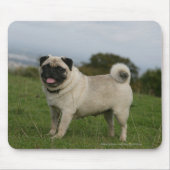 Pug Panting Muismat (Voorkant)