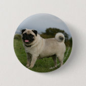 Pug Panting Ronde Button 5,7 Cm (Voorkant)
