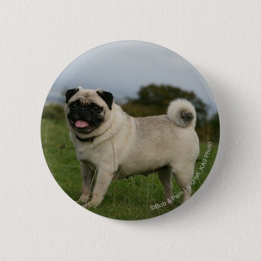 Pug Panting Ronde Button 5,7 Cm (Voorkant)
