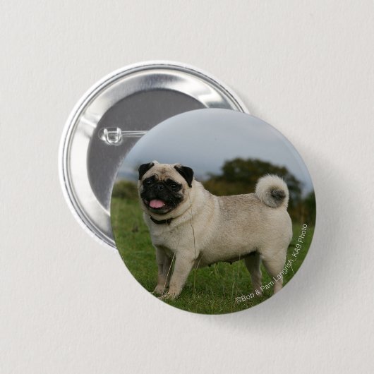 Pug Panting Ronde Button 5,7 Cm (Voorkant /achterkant)