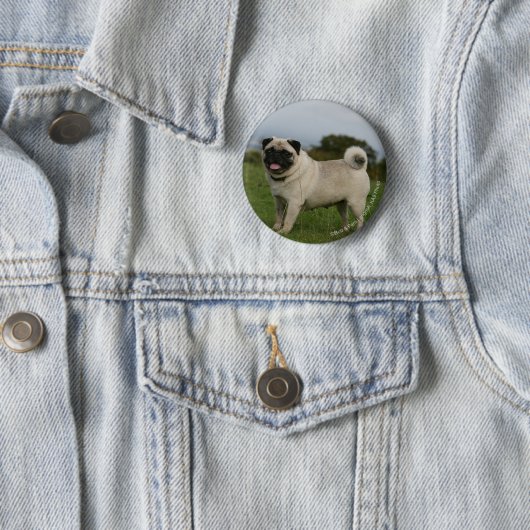 Pug Panting Ronde Button 5,7 Cm (In situ)