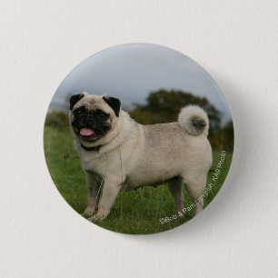 Pug Panting Ronde Button 5,7 Cm