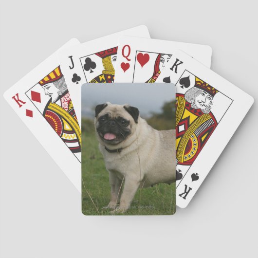 Pug Panting Speelkaarten (Achterkant)