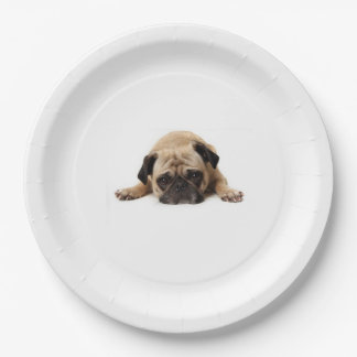 PUG PAPIEREN BORD