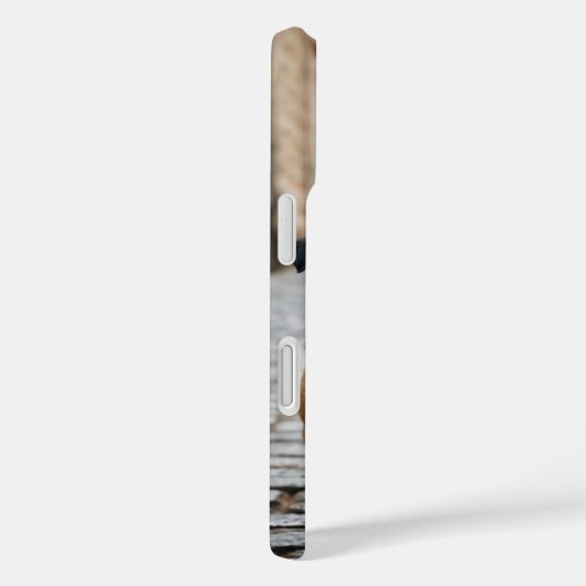 Pug Parade Case-Mate iPhone Case (Achterkant / Rechts)