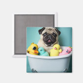Pug Paradise: Een zwemschoonheid op de buis Magneet (Voorkant / Achterkant)