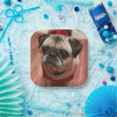 Pug Party-Borden Papieren Bordje (Feest)