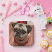 Pug Party-Borden Papieren Bordje (Feest)