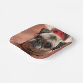 Pug Party-Borden Papieren Bordje (Gebogen)