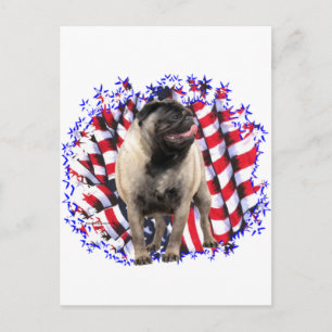 Pug Patriot Briefkaart