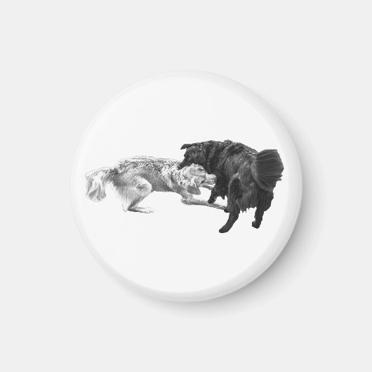 Pug-pauze, gearceerde magneet (Voorkant)