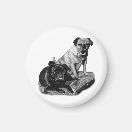 Pug-pauze, gearceerde magneet (Voorkant)