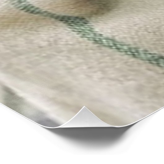 Pug Perfect Poster (Hoek)