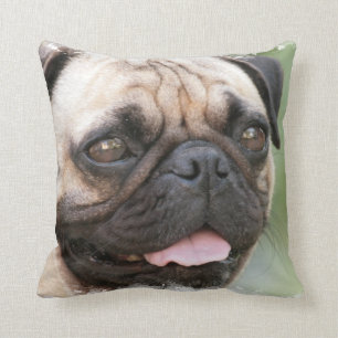 Pug Pillow   Kussen
