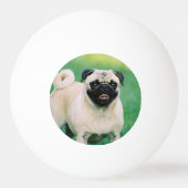 Pug Pingpongbal (Voorkant)