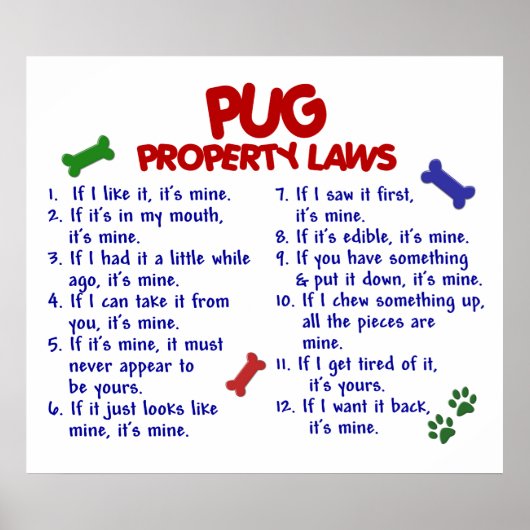 PUG PL2 POSTER (Voorkant)