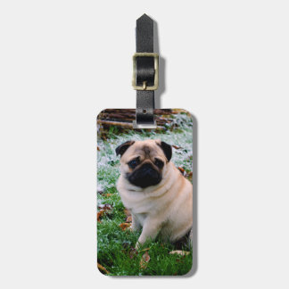 Pug Plaats uw eigen foto Bagagelabel