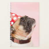 Pug Planner (Voorkant)