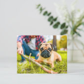 Pug Playing Fetch with Stick Briefkaart (Staand voorkant)