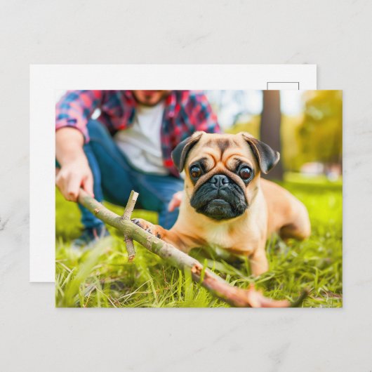 Pug Playing Fetch with Stick Briefkaart (Voorkant / Achterkant)