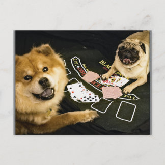 Pug Poker Briefkaart