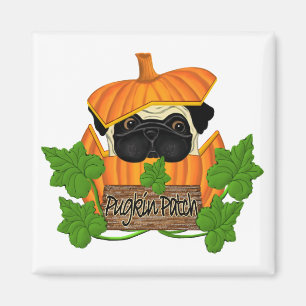 Pug pompoen patch magneet