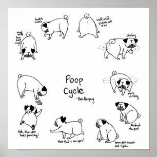Pug Poop Cyclus Poster