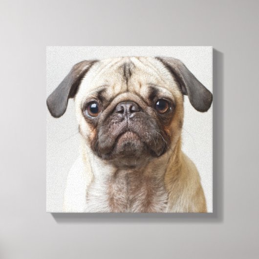 Pug Portrait Canvas Afdruk (Voorkant)