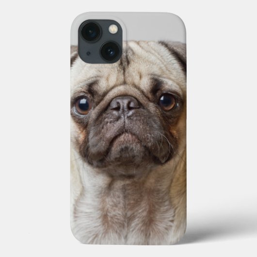 Pug Portrait Case-Mate iPhone Case (Achterkant)