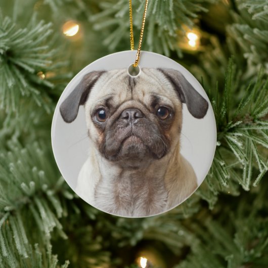 Pug Portrait Keramisch Ornament (Boom)
