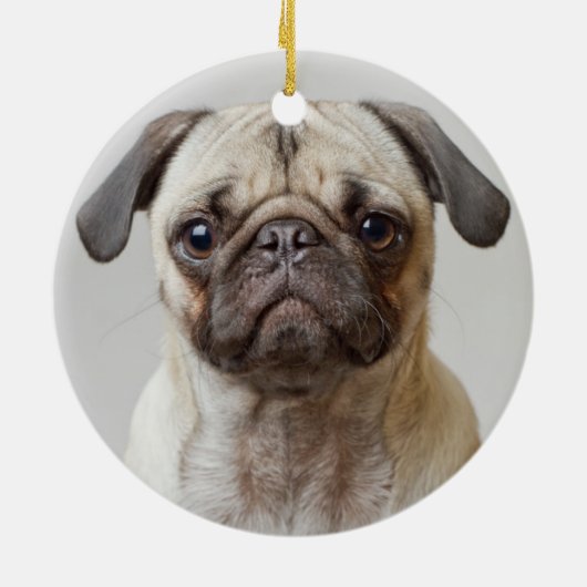 Pug Portrait Keramisch Ornament (Achterkant)