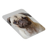 Pug Portrait Magneet (Rechterzijde)