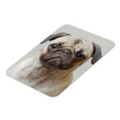 Pug Portrait Magneet (Linkerzijde)