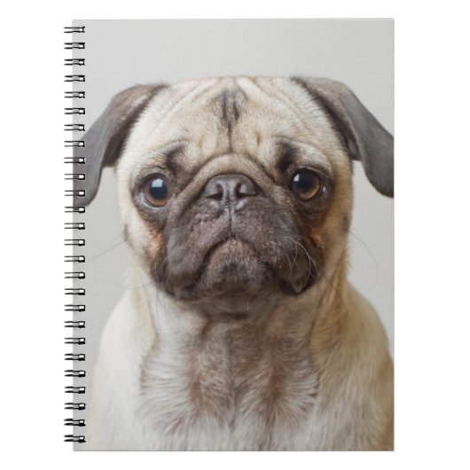 Pug Portrait Notitieboek (Voorkant)