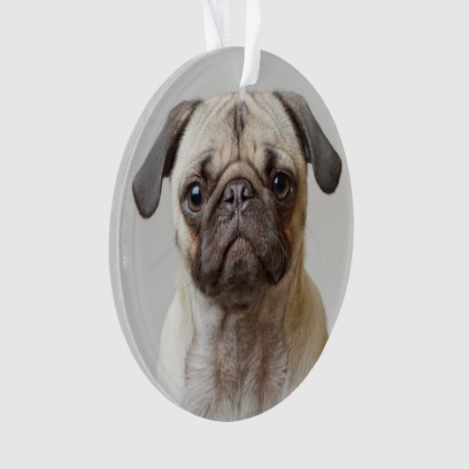 Pug Portrait Ornament (voorkant)