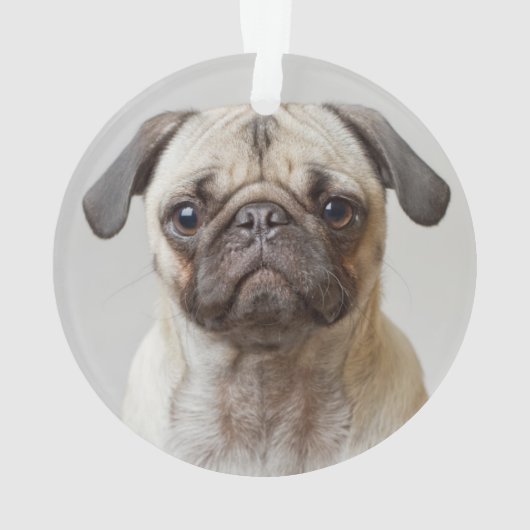 Pug Portrait Ornament (achterkant)