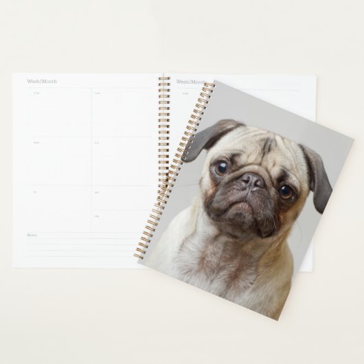 Pug Portrait Planner (Display)
