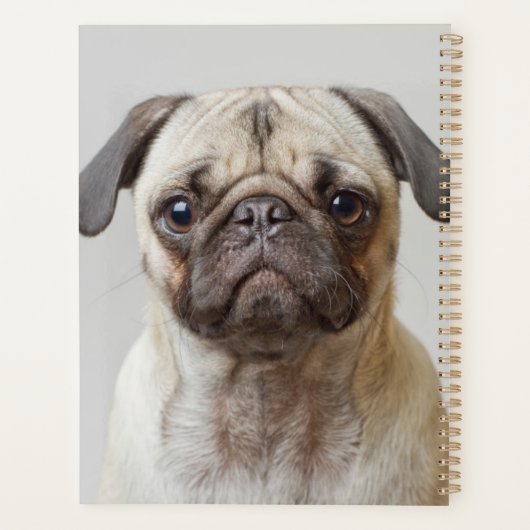 Pug Portrait Planner (Achterkant)