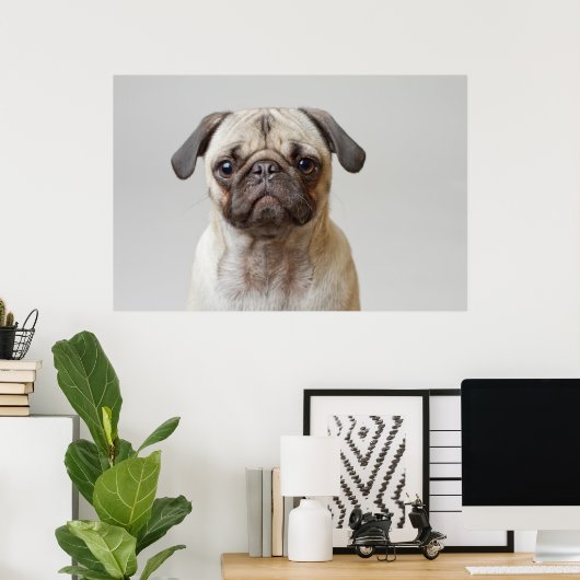 Pug Portrait Poster (Thuiskantoor)