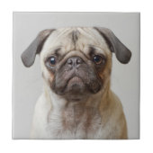Pug Portrait Tegeltje (Voorkant)