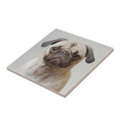 Pug Portrait Tegeltje (Zijkant)