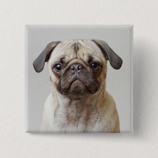 Pug Portrait Vierkante Button 5,1 Cm (Voorkant)
