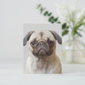 Pug-portret Briefkaart (Staand voorkant)